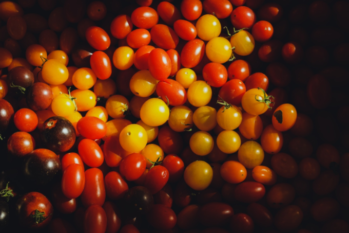 Tomates cherry rojos y amarillos sobre fondo oscuro, iluminados suavemente.