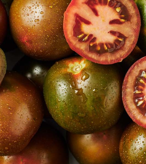 Tomates variados, algunos cortados, en tonos verdes, rojos y marrones.